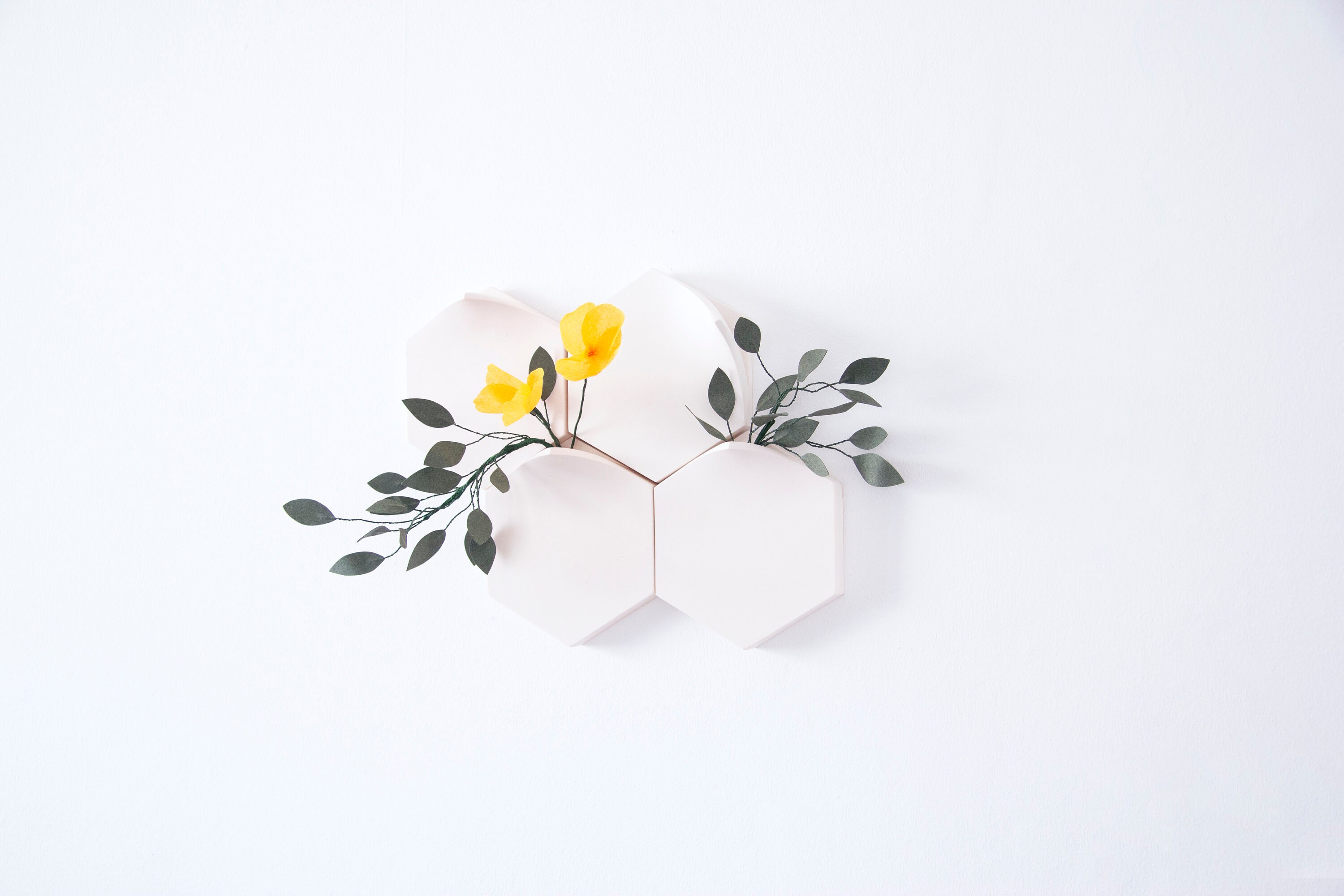 Vase Mural Modulaire Hexagonal Monobloc Par Extra&ordinary Design