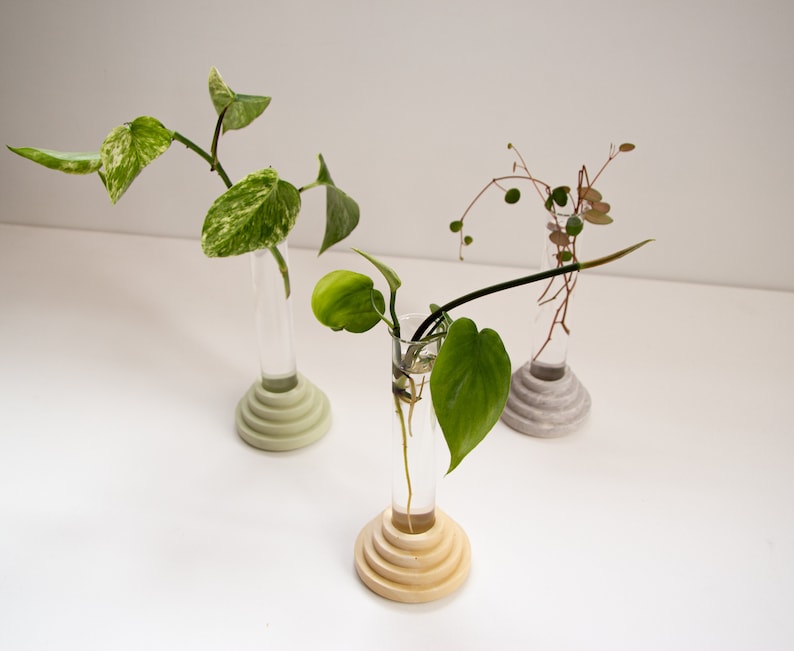 Marble finish plants propagator / mini vase from Scala collection by Extra&ordinary design image 3