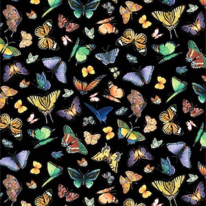Könnte beinhalten: Ein schwarzer Hintergrund ist mit zahlreichen bunten Schmetterlingen bedeckt. Die Schmetterlinge zeigen eine Reihe von Farben, darunter Gelb, Orange, Grün, Blau, Lila und Rosa. Die Schmetterlinge variieren in Größe und Muster.