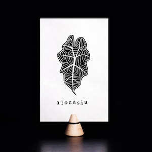 Carte linogravure feuille d'Alocasia Polly - Carte plante - Papier recyclé - Impression à la main