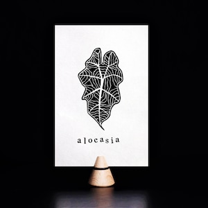 Alocasia Polly Leaf Linocut Card - Plant Card - Recycled Paper - Hand Print