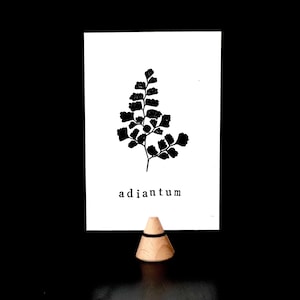 Carte linogravure feuille d'Adiantum - Carte plante - Papier recyclé - Impression à la main