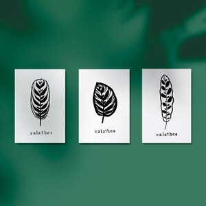 Carte linogravure feuille de Calathéa (3 modèles) - Carte plantes - Papier recyclé - Impression à la main