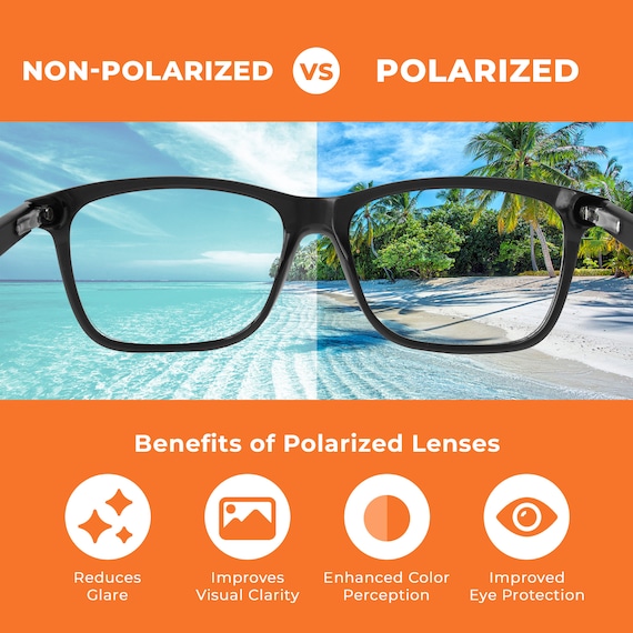 Dispatch 1 Polarized & Non-polarized Replacement Israel