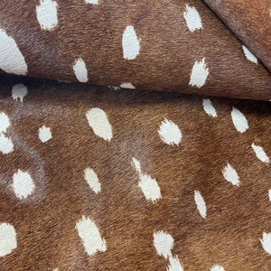 May include: Close-up of a brown and white spotted hide. The hide has a natural texture with a pattern of irregular white spots against a brown background. The material is folded over in the image, showing the underside.