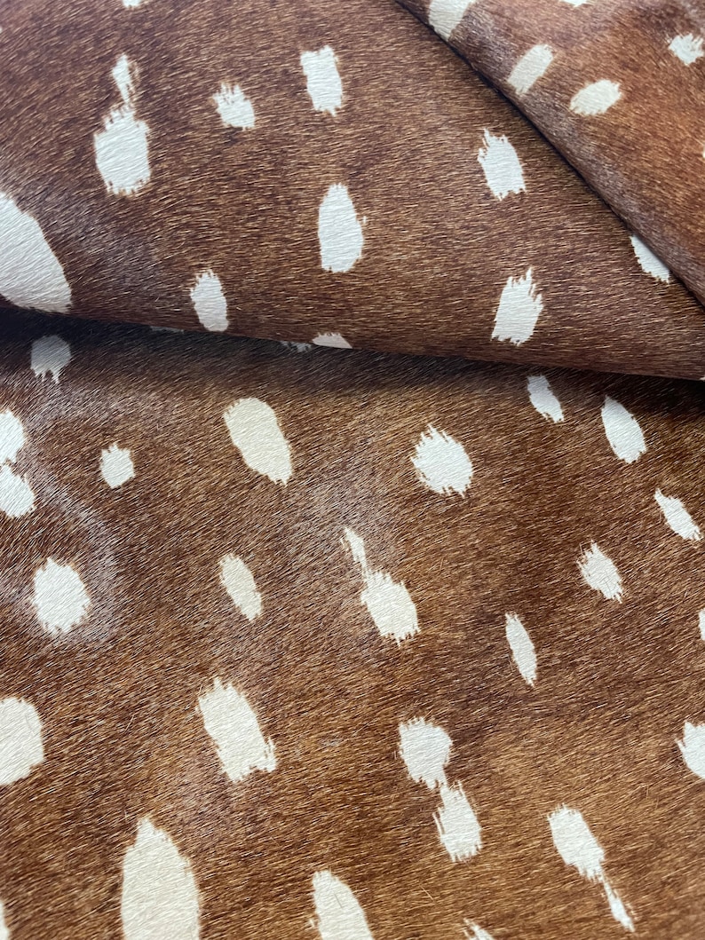 May include: Close-up of a brown and white spotted hide. The hide has a natural texture with a pattern of irregular white spots against a brown background. The material is folded over in the image, showing the underside.