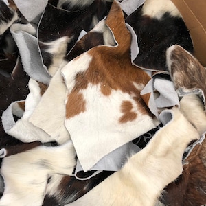 May include: A pile of cowhide scraps in various shades of brown, white, and black. The hides are cut into different shapes and sizes, and some have a fuzzy texture.