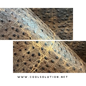 May include: Close-up of brown leather with a textured ostrich skin pattern. The leather has a distressed look with a lighter brown color in some areas.