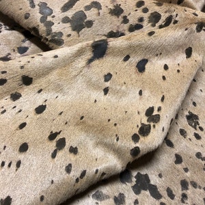 May include: A close-up of a cowhide rug with a light brown background and black spots. The rug is folded in half, showing the texture of the hide.