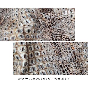 May include: Close-up of crocodile or alligator skin texture. The pattern features a mix of large, rectangular scales and smaller, circular ones, with a color palette of gray, brown, and off-white. The website address "WWW.COOLSOLUTION.NET" is visible at the bottom.