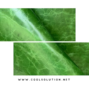 May include: Close-up of two sections of green leather with a distressed, textured appearance. The leather has a glossy finish and visible veining patterns. The website address "WWW.COOLSOLUTION.NET" is printed at the bottom.