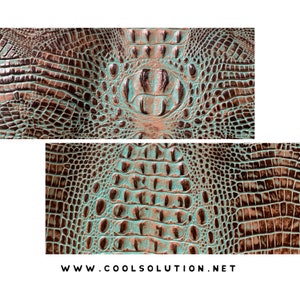 May include: Close-up of a brown and turquoise alligator skin pattern. The pattern is embossed with a textured, scaly design. The image includes the text "www.coolsolution.net".