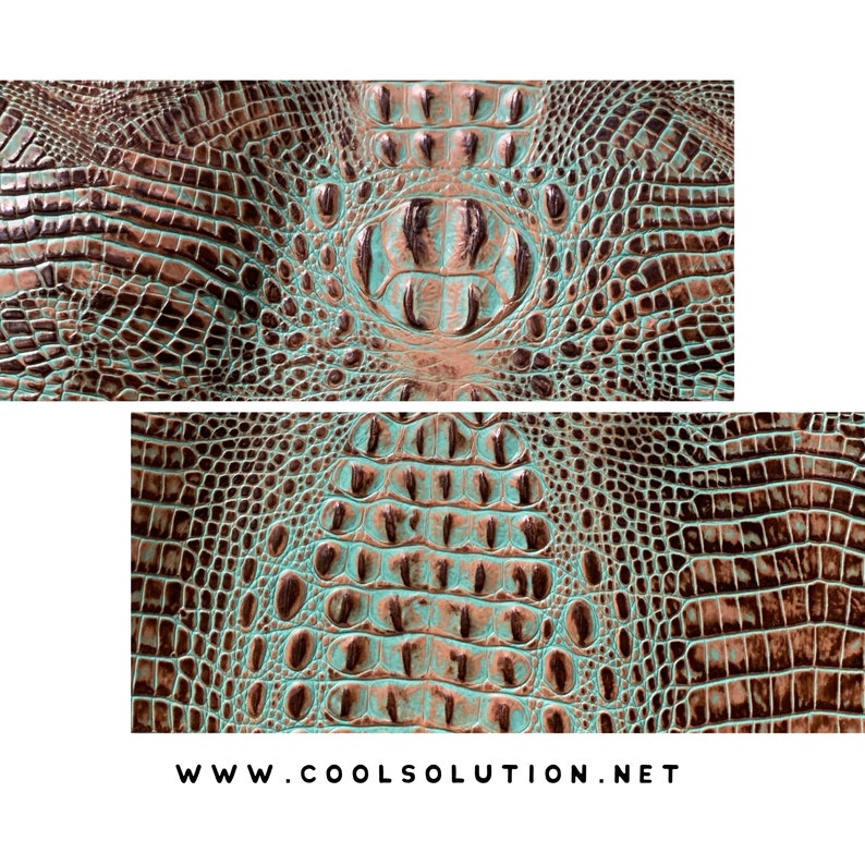 May include: Close-up of a brown and turquoise alligator skin pattern. The pattern is embossed with a textured, scaly design. The image includes the text "www.coolsolution.net".