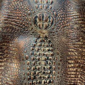 May include: Close-up of a brown and beige crocodile embossed leather texture. The leather has a distressed look with a subtle metallic sheen.