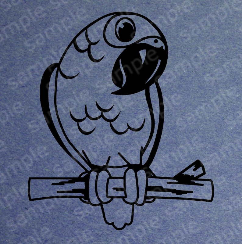 African Grey Gray parrot Digital Svg Cricut cutting file Great Tshirt design,design your own logos cute parrot