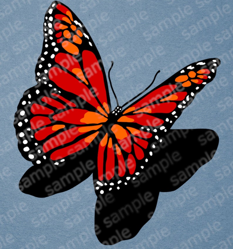 Free Free Monarch Butterfly Svg File 174 SVG PNG EPS DXF File