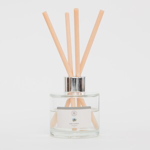 May include: A clear glass diffuser with light peach-coloured reeds. The diffuser has a silver metal collar and a label with text and a small illustration. The reeds are arranged in a fan shape, and the liquid inside is clear.