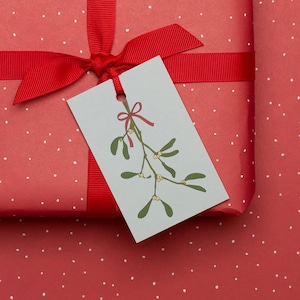 5 Geschenkanhänger Weihnachten - Mistelzweig Geschenk Tag und farblich passendes Band, ideal zum Geschenk individuell gestalten.