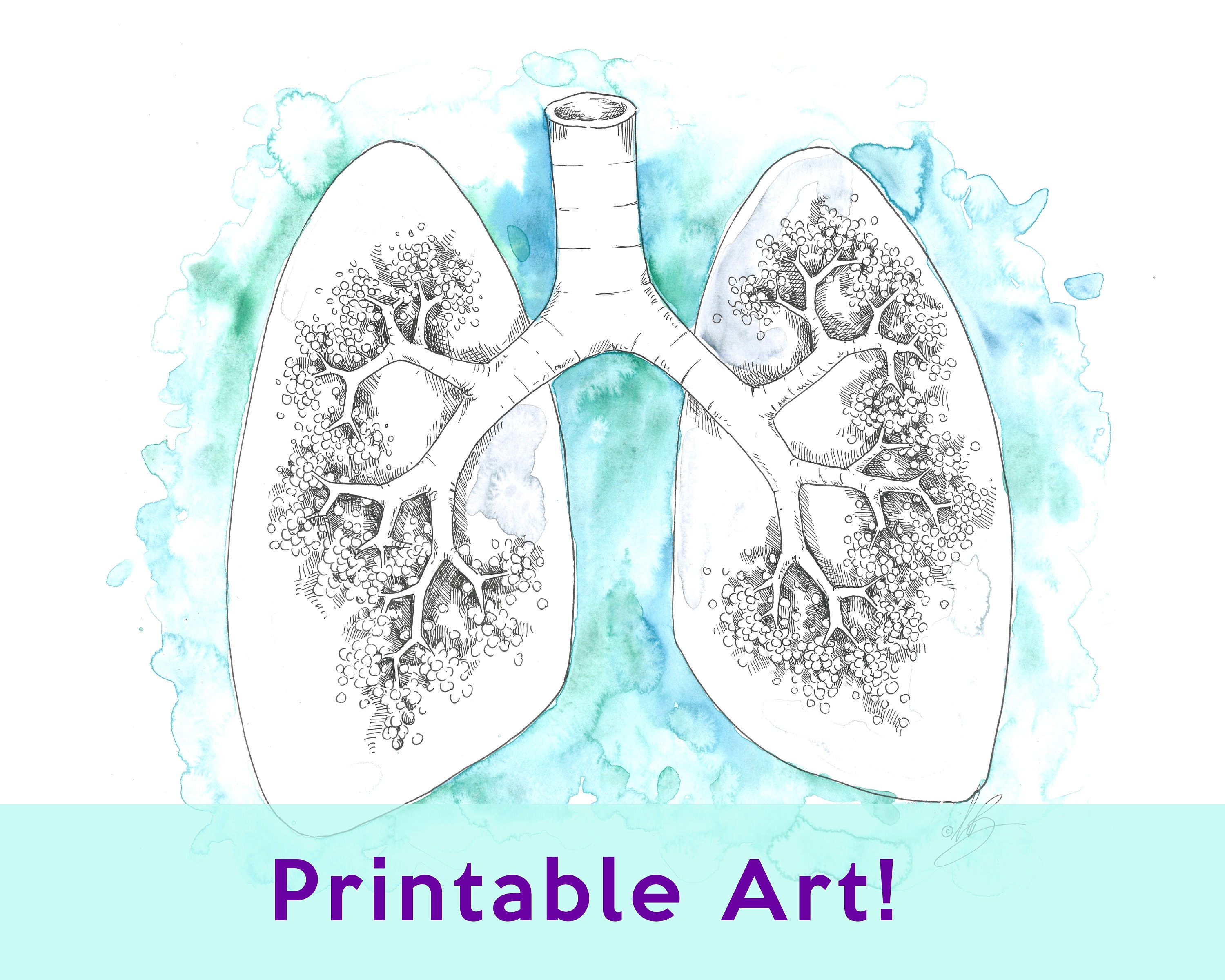 Lungs Anatomy Watercolor Digital Download, Medical Art, Medical Decor, Medical Office Decor Anatomy Art Pilates Studio Decor