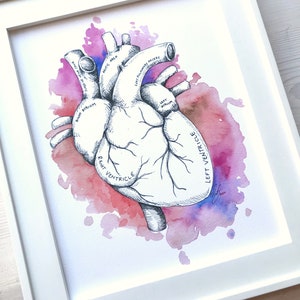 Heart Anatomy Print, Heart Anatomy Watercolor, Anatomy Art, Medical Art, Medical Drawing, Human Heart, Anatomy Drawing