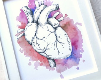Heart Anatomy Print, Heart Anatomy Watercolor, Anatomy Art, Medical Art, Medical Drawing, Human Heart, Anatomy Drawing