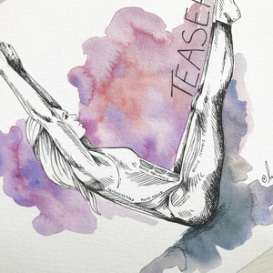 Pilates Artwork Pilates Teaser Pilates Studio Decor Wall Art Fitness Studio Decor Pilates Anatomy Art Pilates Gift