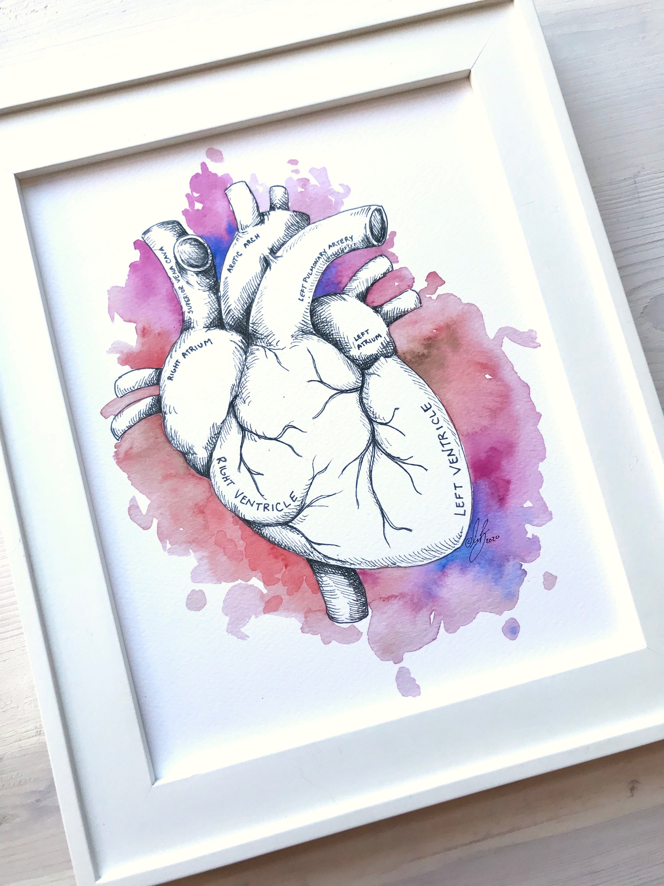 Heart Anatomy Watercolor Art Print, Medical Illustration (digital ...
