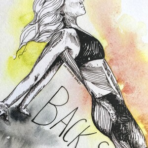 May include: A black and white line drawing of a person doing a backbend yoga pose. The drawing is on a watercolor background with yellow and orange hues. The drawing includes labels for the muscles being used in the pose, including "Latissimus Dorsi", "Gluteus Min", "Hamstrings", and "Posterior Deltoid". The text "BACK SUP" is written in large letters at the bottom of the image.
