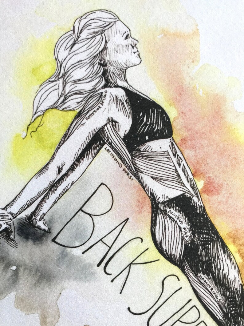 May include: A black and white line drawing of a person doing a backbend yoga pose. The drawing is on a watercolor background with yellow and orange hues. The drawing includes labels for the muscles being used in the pose, including "Latissimus Dorsi", "Gluteus Min", "Hamstrings", and "Posterior Deltoid". The text "BACK SUP" is written in large letters at the bottom of the image.