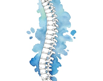 Spine Watercolor Digital Print Anatomy Art Medical Wall Decor Pilates Studio Decor Chiropractor Office Decor