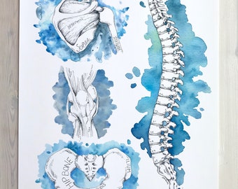 Anatomy Art Poster, Bones and Joints, Watercolor Medical Print