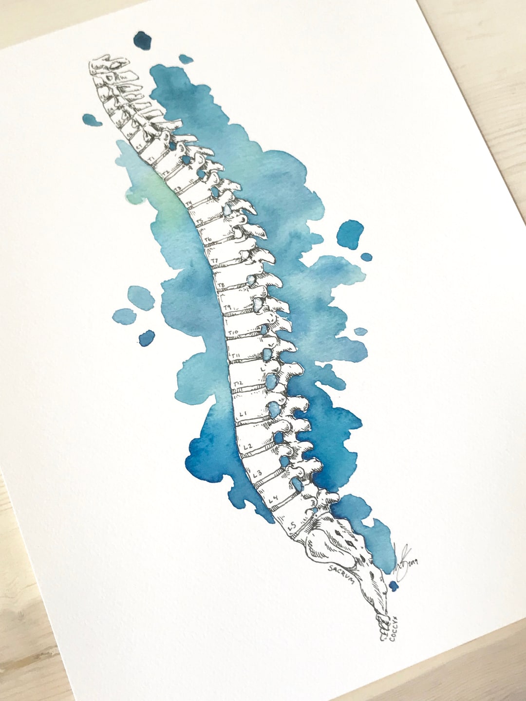 Spine Watercolor Art Print, Anatomy Medical Decor - Etsy