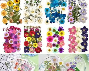 Dried Flower for Resin Acrsikr Natural Dried Pressed Flower Purple