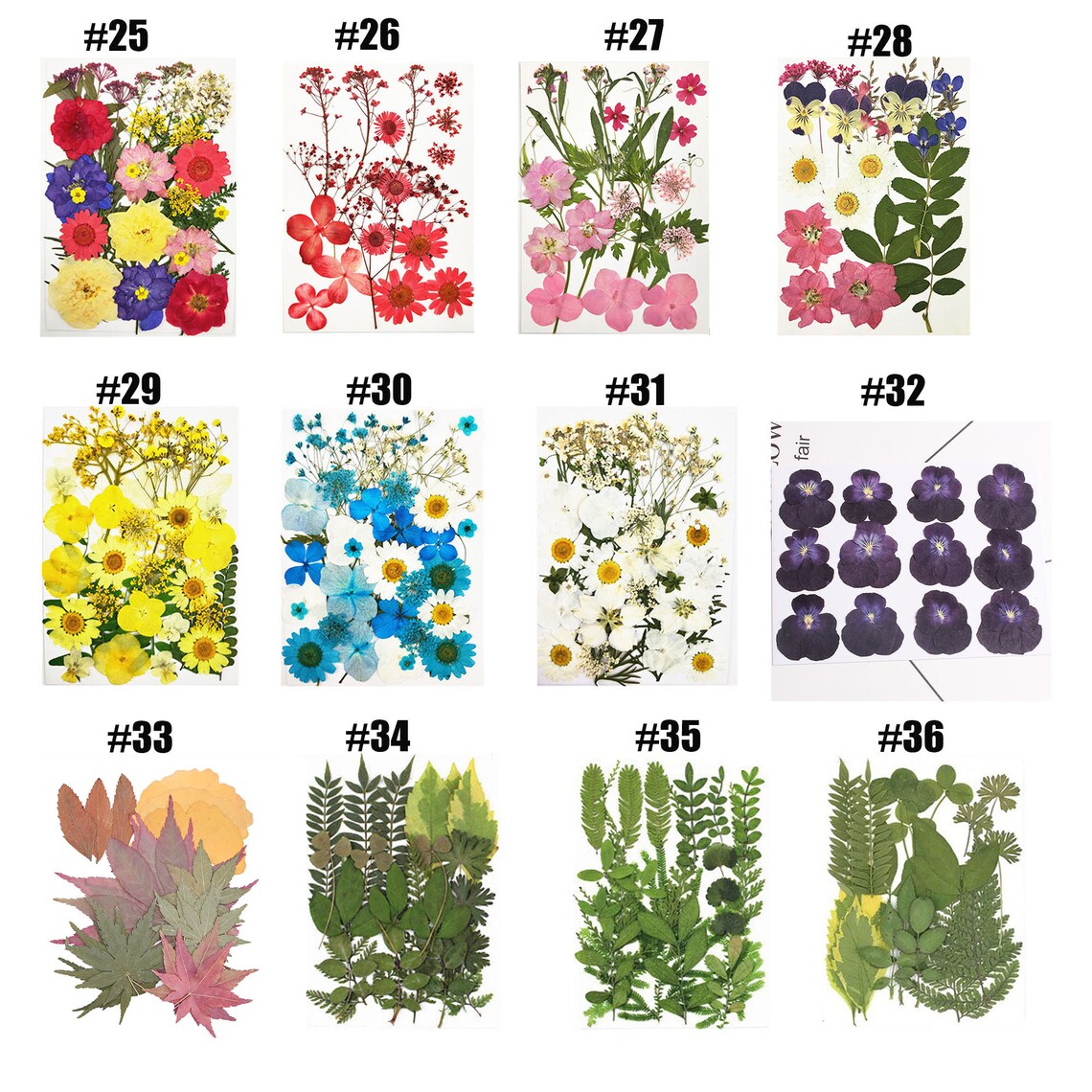 Assorted Dried Flowers Jewelry Filling Pressed Flowers for Etsy