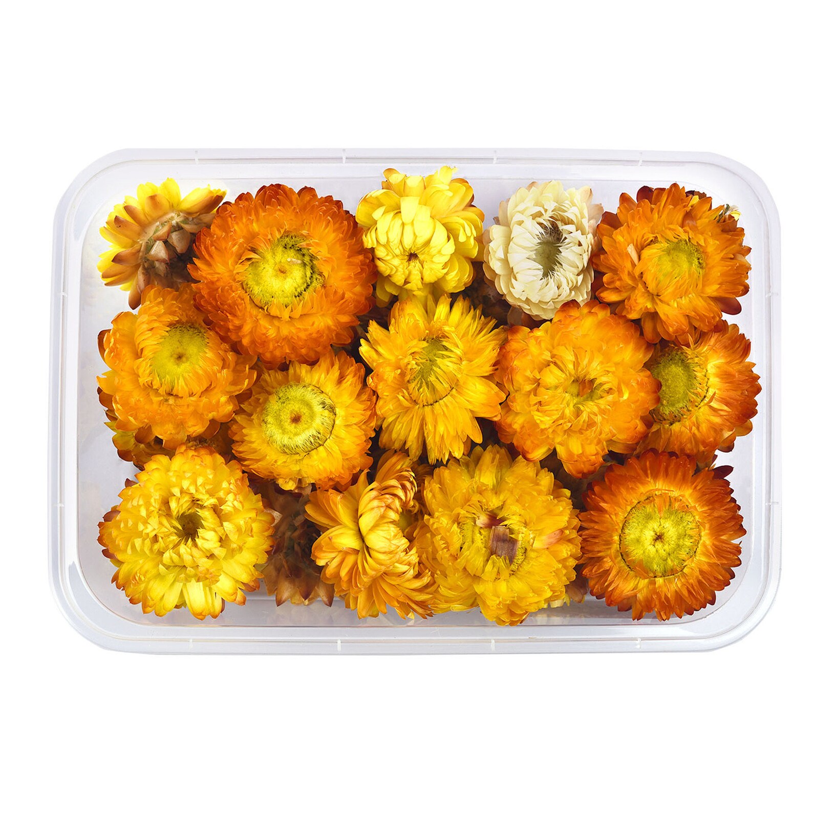 1 Box Dried Flowers Chrysanthemum Resin Filling DIY Crystal Etsy