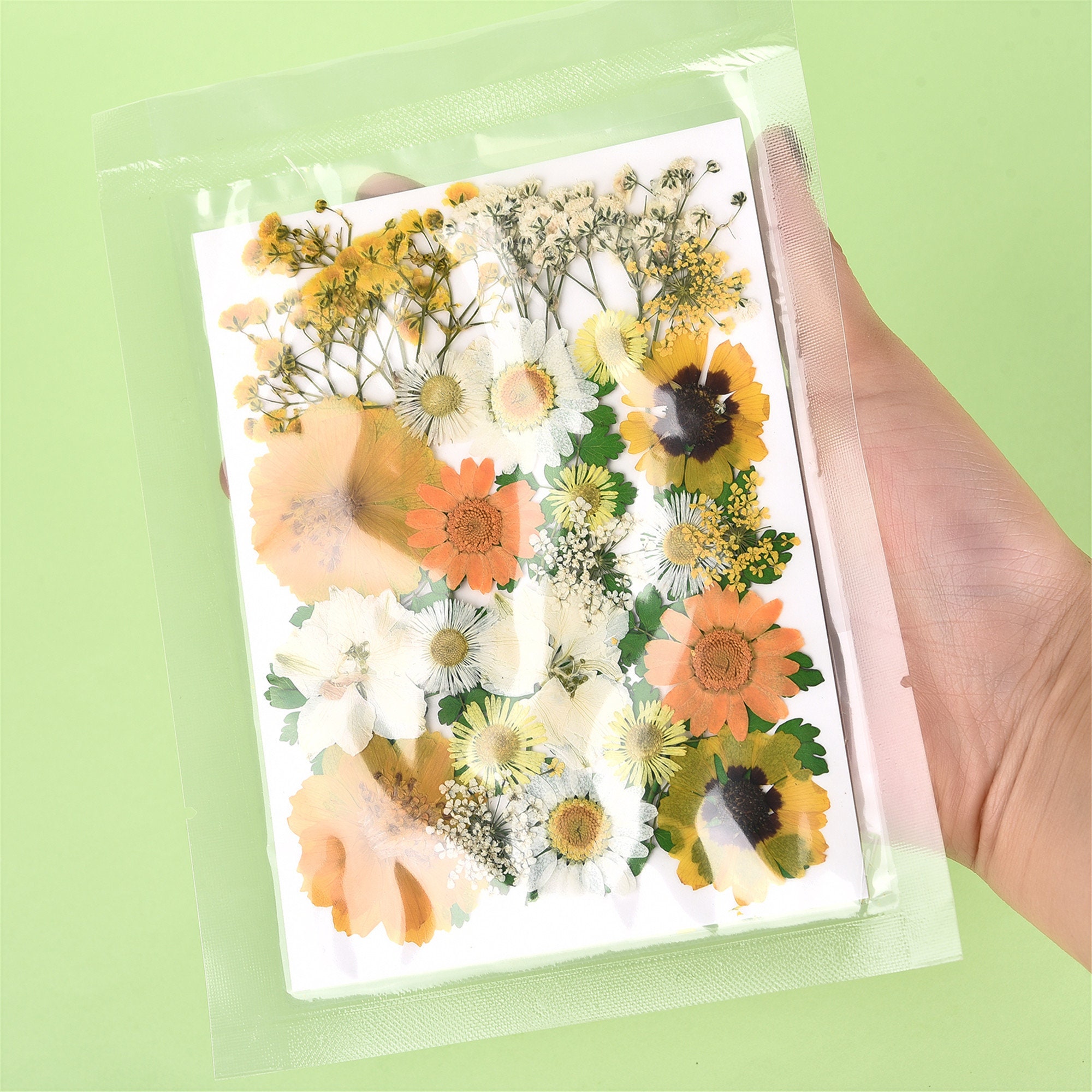 1 Pack DIY Dried Flowers Resin Mold Fillings UV Expoxy Natural Etsy