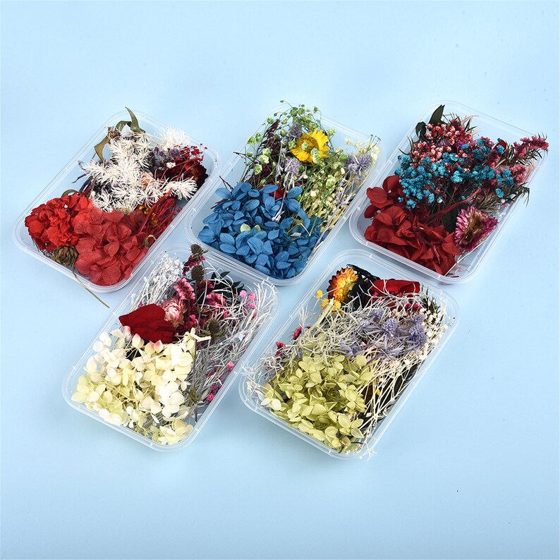 Fleurs Séchées Et Préservées En Boîte - Kit Bricolage Bleu Pour Bougies, Bijoux Résine, Scrapbooking Et Décoration Maison