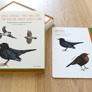 Livre illustré pour enfants sur l’identification des oiseaux, illustration, livre, manuel, enfants