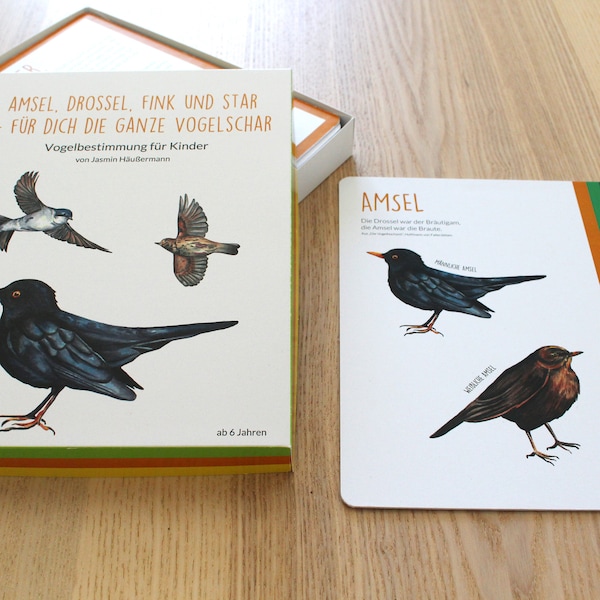 Illustrated children's book on bird identification, illustration, book, textbook, children