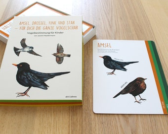 Illustrated children's book on bird identification, illustration, book, textbook, children