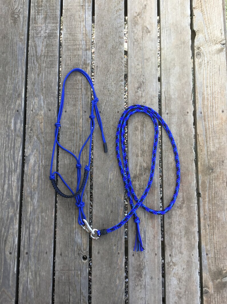 Blue Rope Halter/lead Rope Set - Etsy