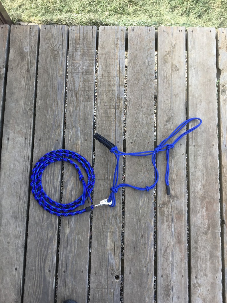 Blue Rope Halter/lead Rope Set Etsy