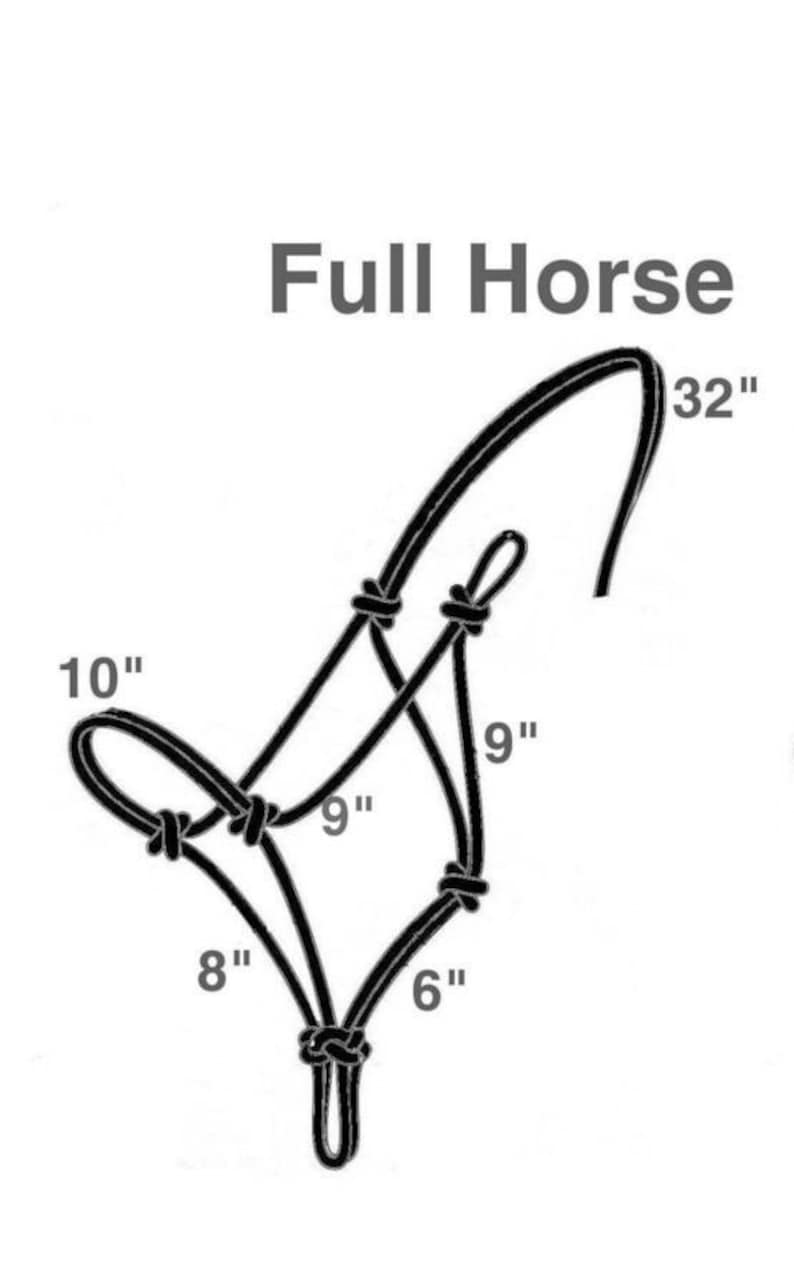 Blue Rope Halter/lead Rope Set Etsy