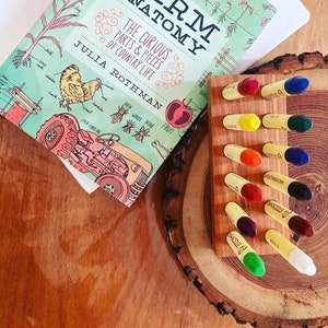 Handcrafted Wooden Hole Stockmar Crayon Tray for Families, Homeschool or Classroom | Smooth Hardwood Organizer for Crayons | Montessori Art