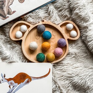 Wooden - Koala Bear - Sorting - Sensory Tray - Montessori - Waldorf