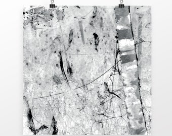 Poster Birch, print 29x29 cm