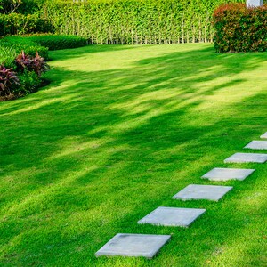 easygreen® partial shade lawn patch 1.2m2 image 3