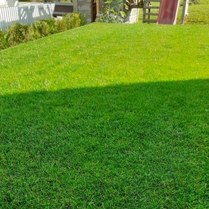 easygreen® partial shade lawn patch 1.2m2 image 2
