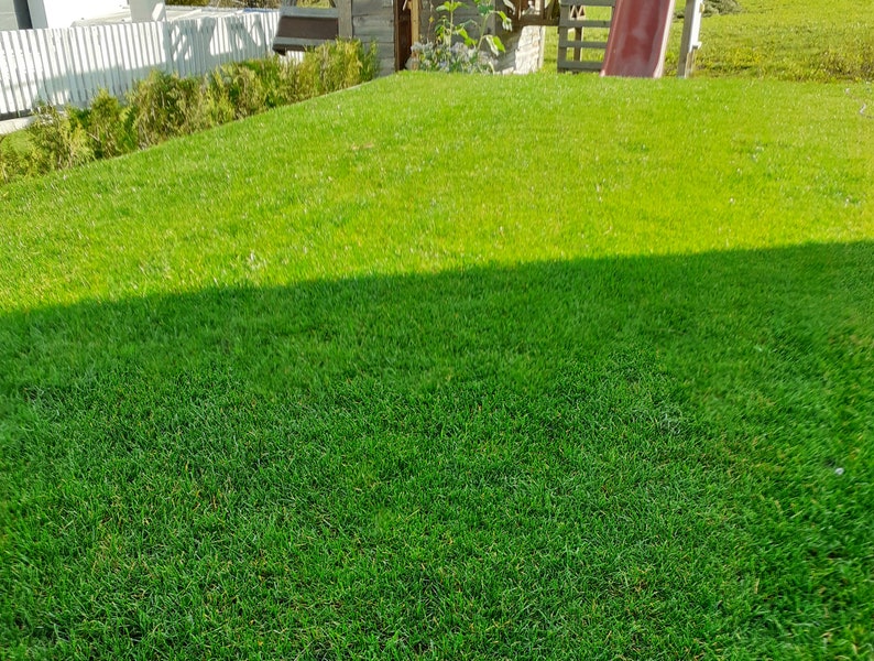 easygreen® partial shade lawn patch 1.2m2 image 2