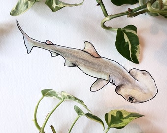 Bonnethead Shark Original Watercolor Painting l Marine Illustration l Nautical Home Decor